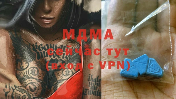PSILOCYBIN Алзамай