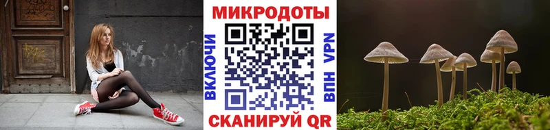 Псилоцибиновые грибы мицелий  Краснознаменск 